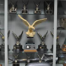 Multiple Awards in a cabinet